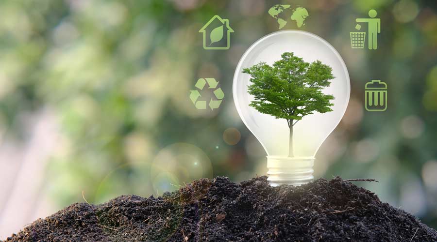 Environmental sustainability and impact assessment